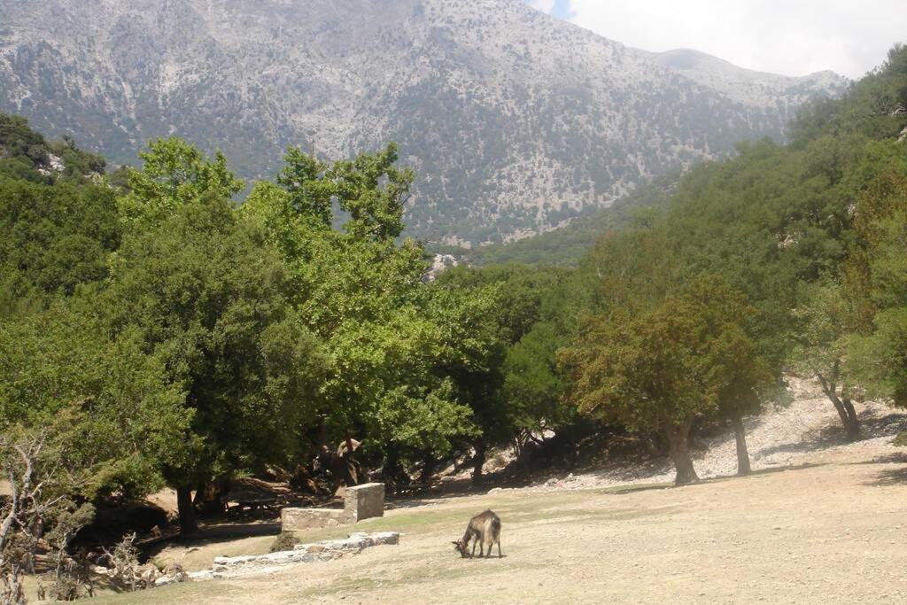 Villa Strata Kardhamiana Экстерьер фото
